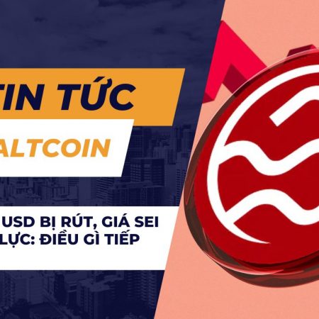 25 triệu USD bị rút, giá SEI chịu áp lực: Điều gì tiếp theo?