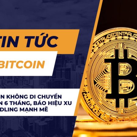 75% Bitcoin không di chuyển trong hơn 6 tháng, báo hiệu xu hướng HODLing mạnh mẽ