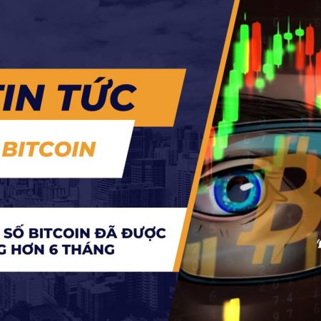 75% tổng số Bitcoin đã được giữ trong hơn 6 tháng