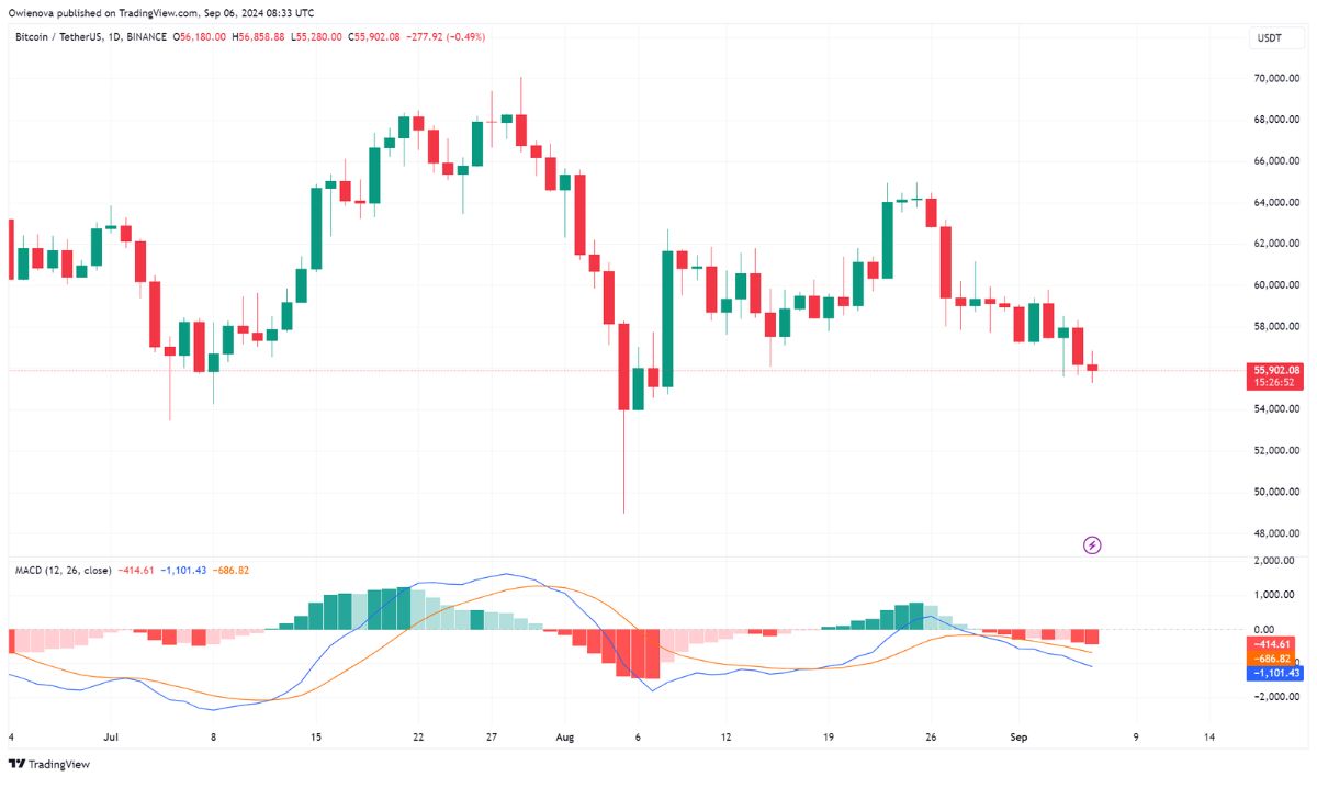 BTC giao dịch ở mức 55.902 đô la trên biểu đồ 1 ngày