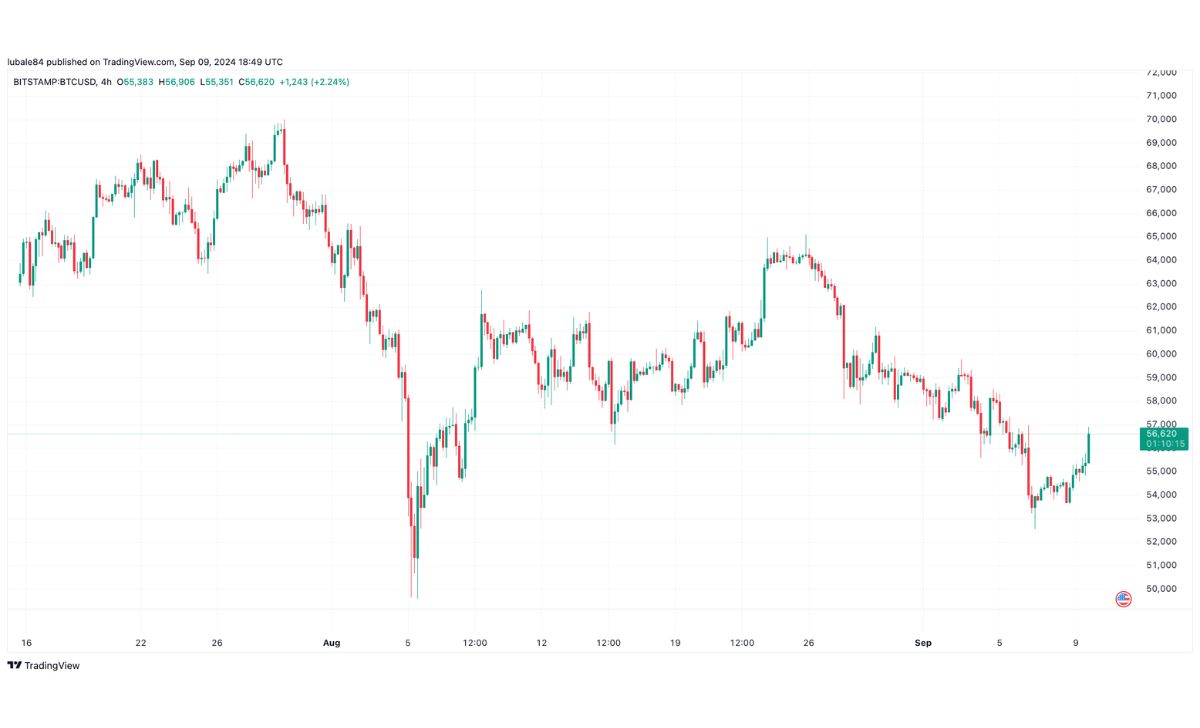 Biểu đồ hàng ngày BTC/USD. Nguồn: TradingView