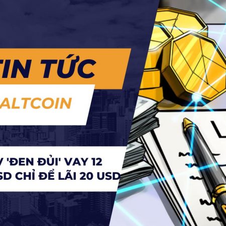 Bot MEV ‘đen đủi’ vay 12 triệu USD chỉ để lãi 20 USD