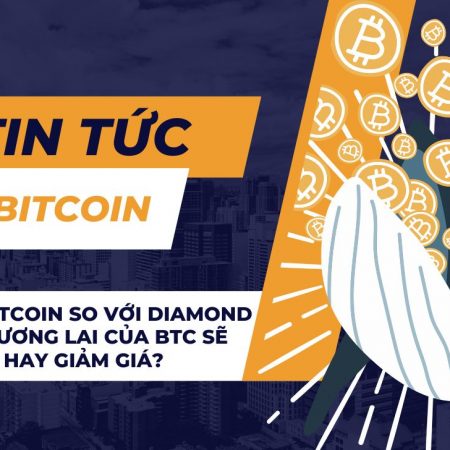 Cá voi Bitcoin so với Diamond Hands: Tương lai của BTC sẽ là tăng giá hay giảm giá?