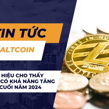 Các dấu hiệu cho thấy altcoin có khả năng tăng giá vào cuối năm 2024