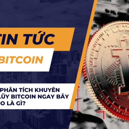 Các nhà phân tích khuyên tái tích lũy Bitcoin ngay bây giờ – Lý do là gì?