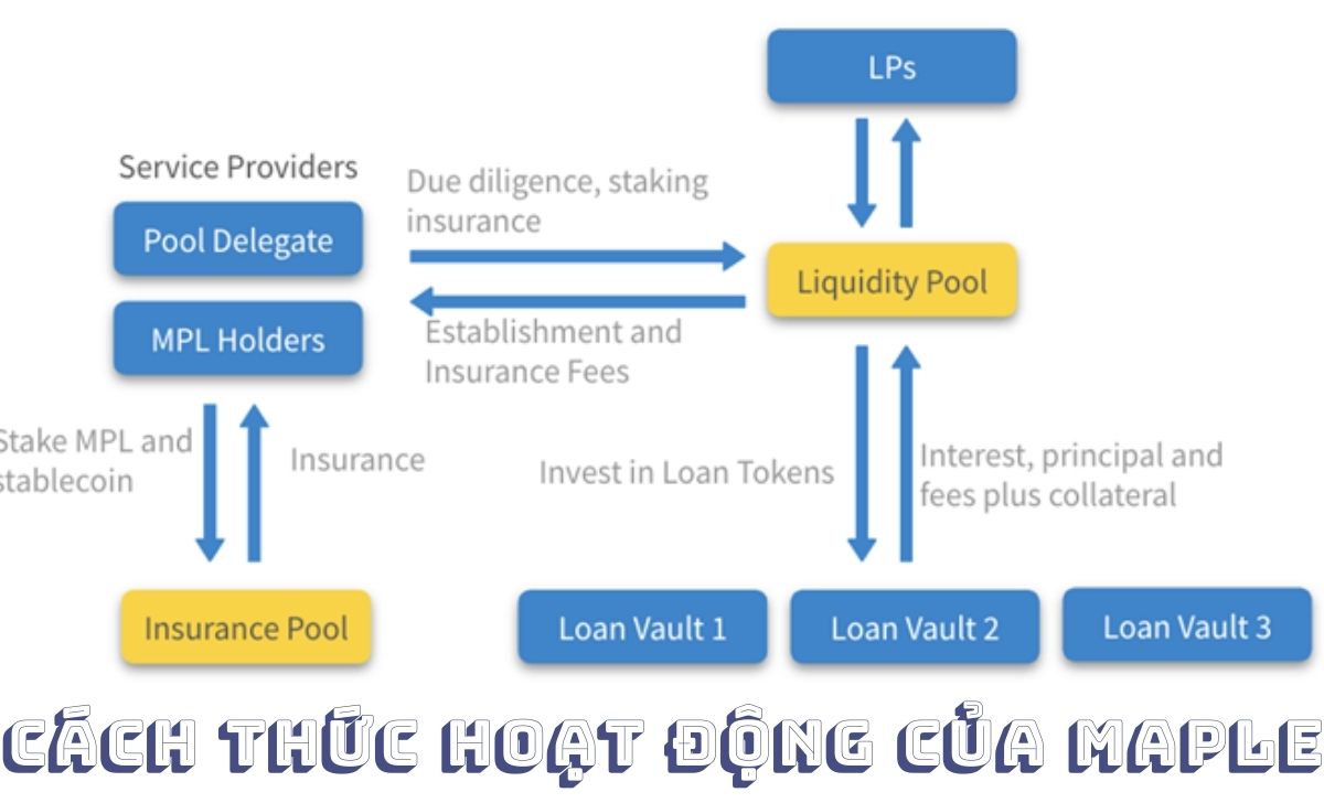 Cách thức hoạt động của Maple Finance