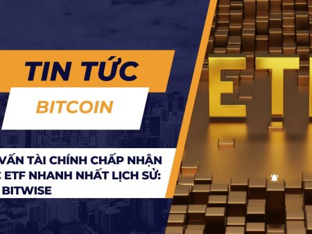 Cố vấn tài chính chấp nhận BTC ETF nhanh nhất lịch sử: CIO Bitwise