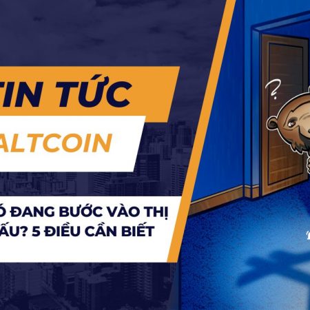 Crypto có đang bước vào thị trường gấu? 5 điều cần biết tuần này