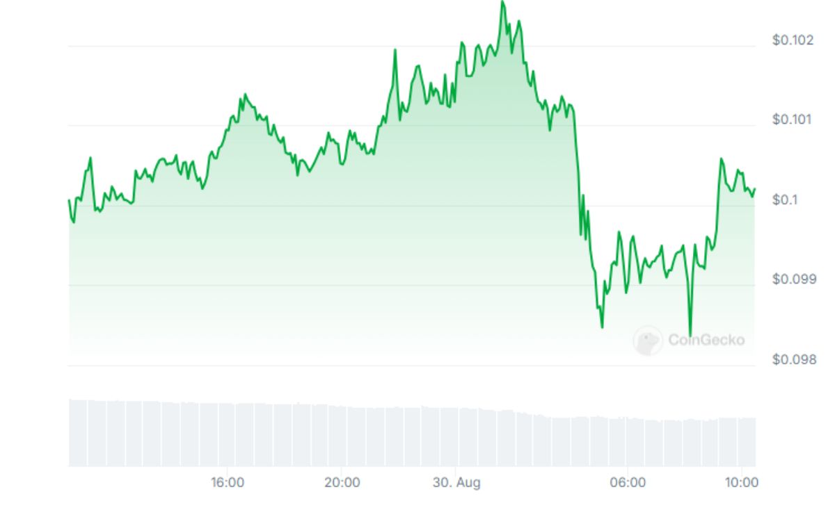 Dogecoin đã giao dịch ổn định trong 24 giờ qua nhưng đã giảm 20% trong tháng