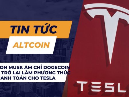 Elon Musk ám chỉ Dogecoin sẽ trở lại làm phương thức thanh toán cho Tesla