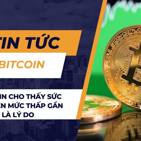 Giá Bitcoin cho thấy sức mạnh trên mức thấp gần đây – Đây là lý do