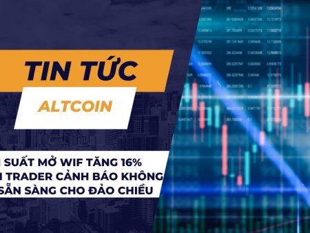 Lãi suất mở WIF tăng 16% khi trader cảnh báo không ai sẵn sàng cho đảo chiều