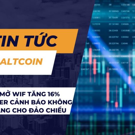 Lãi suất mở WIF tăng 16% khi trader cảnh báo không ai sẵn sàng cho đảo chiều