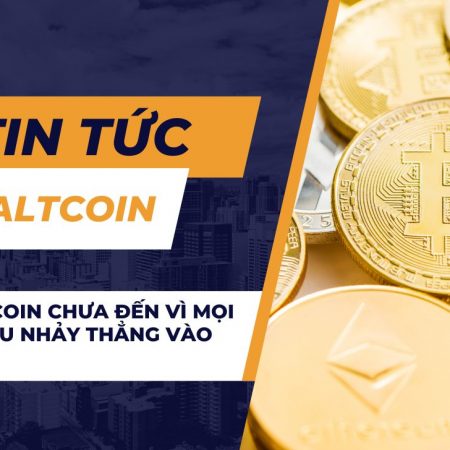 Mùa Altcoin chưa đến vì mọi người đều nhảy thẳng vào câu đùa