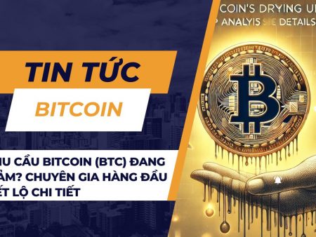 Nhu cầu Bitcoin (BTC) đang giảm? Chuyên gia hàng đầu tiết lộ chi tiết