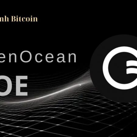 OpenOcean (OOE) là gì? Toàn tập về dự án OOE Token