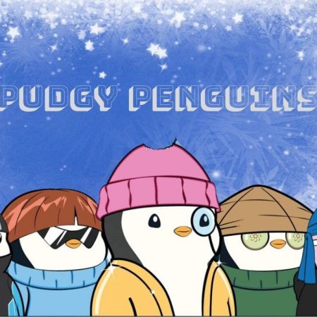 Pudgy Penguins là gì? Tìm hiểu chi tiết về bộ sưu tập NFT tiềm năng