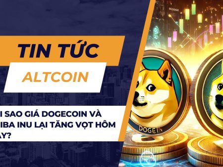 Tại sao giá Dogecoin và Shiba Inu lại tăng vọt hôm nay?