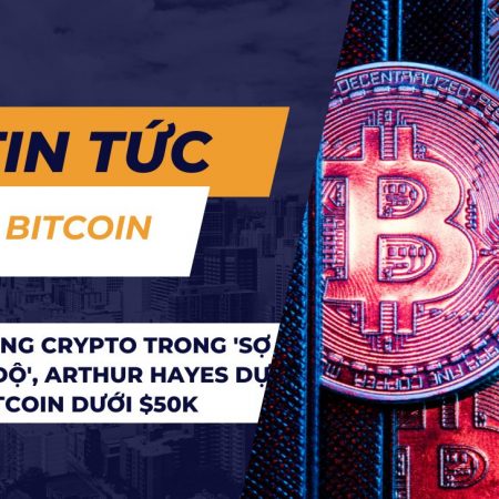 Thị trường crypto trong ‘sợ hãi tột độ’, Arthur Hayes dự đoán Bitcoin dưới $50K