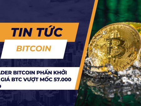 Trader Bitcoin phấn khởi khi giá BTC vượt mốc 57.000 USD