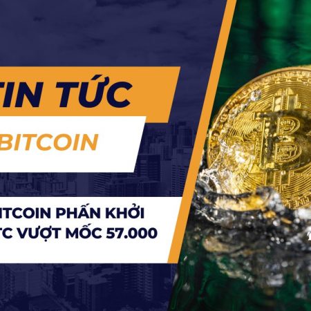 Trader Bitcoin phấn khởi khi giá BTC vượt mốc 57.000 USD