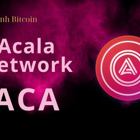 ACA coin là gì? Phân tích tiềm năng dự án Acala Network