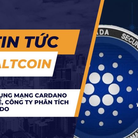 Việc áp dụng mạng Cardano đã trì trệ, công ty phân tích nói về lý do