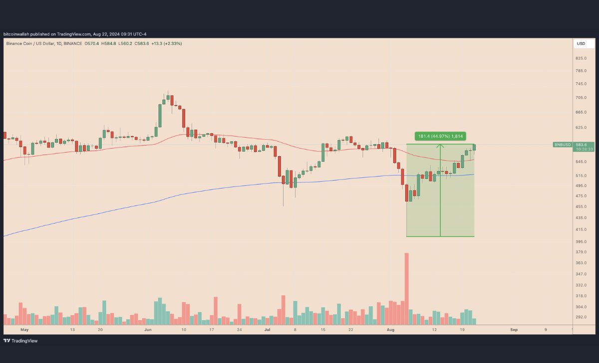 Biểu đồ giá hàng ngày của BNB/USD. Nguồn: TradingView