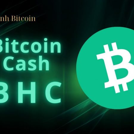 Bitcoin Cash (BCH) là gì? Tổng quan thông tin về dự án BHC