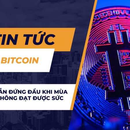 Bitcoin vẫn đứng đầu khi mùa Altcoin không đạt được sức hút