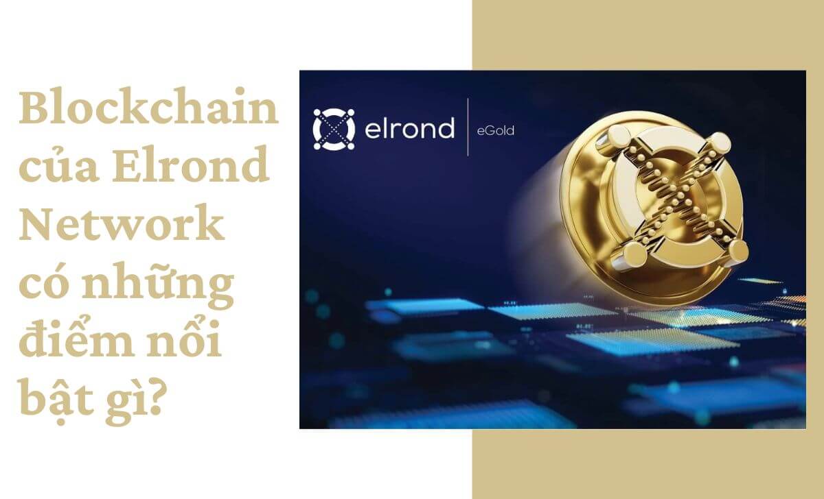 Điểm nổi bật trên Blockchain của Elrond Network 