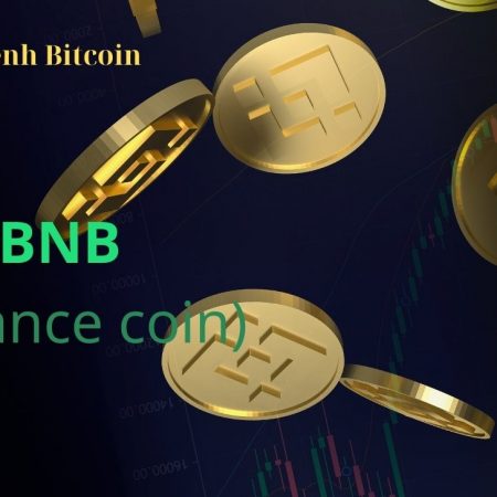 BNB là gì? Mọi điều bạn cần biết về Binance coin