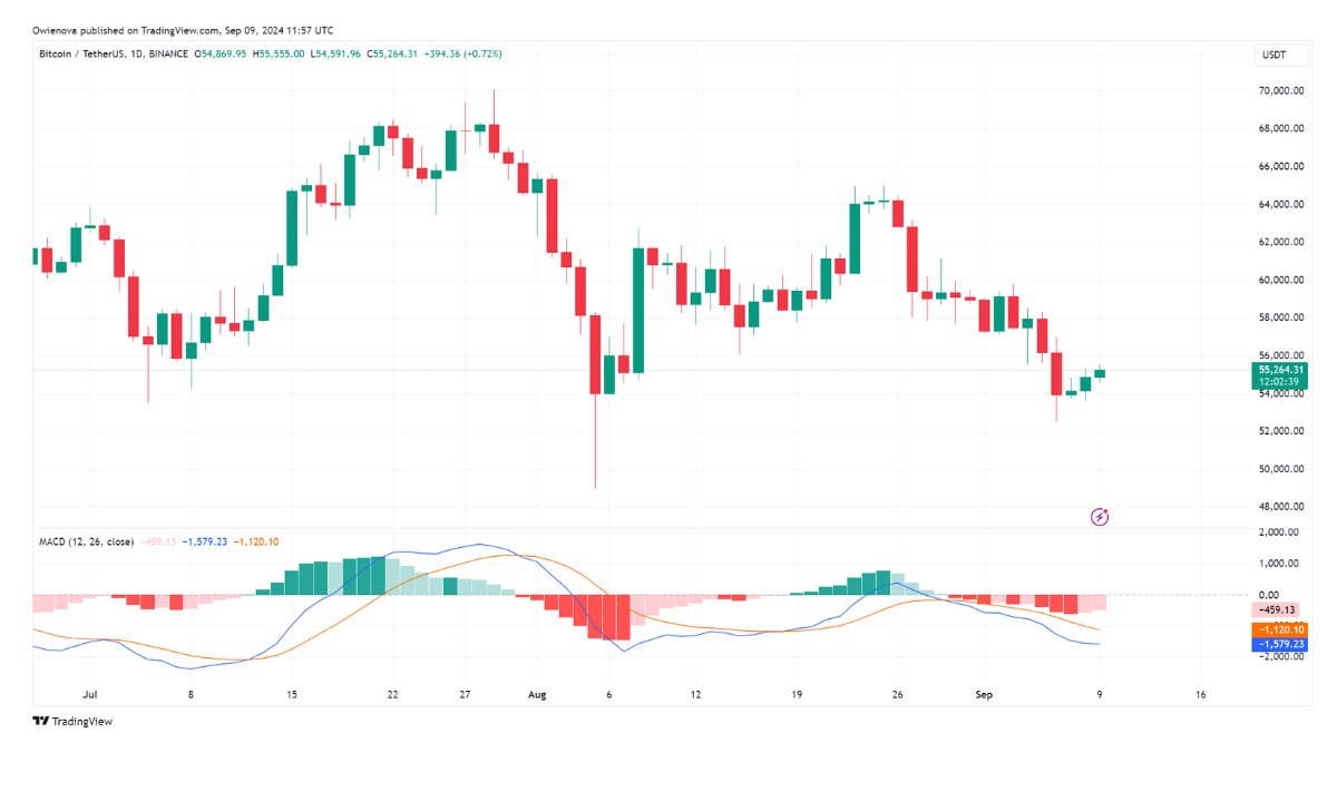 BTC giao dịch ở mức 55.264 đô la trên biểu đồ 1 ngày | Nguồn: BTCUSDT trên Tradingview.com