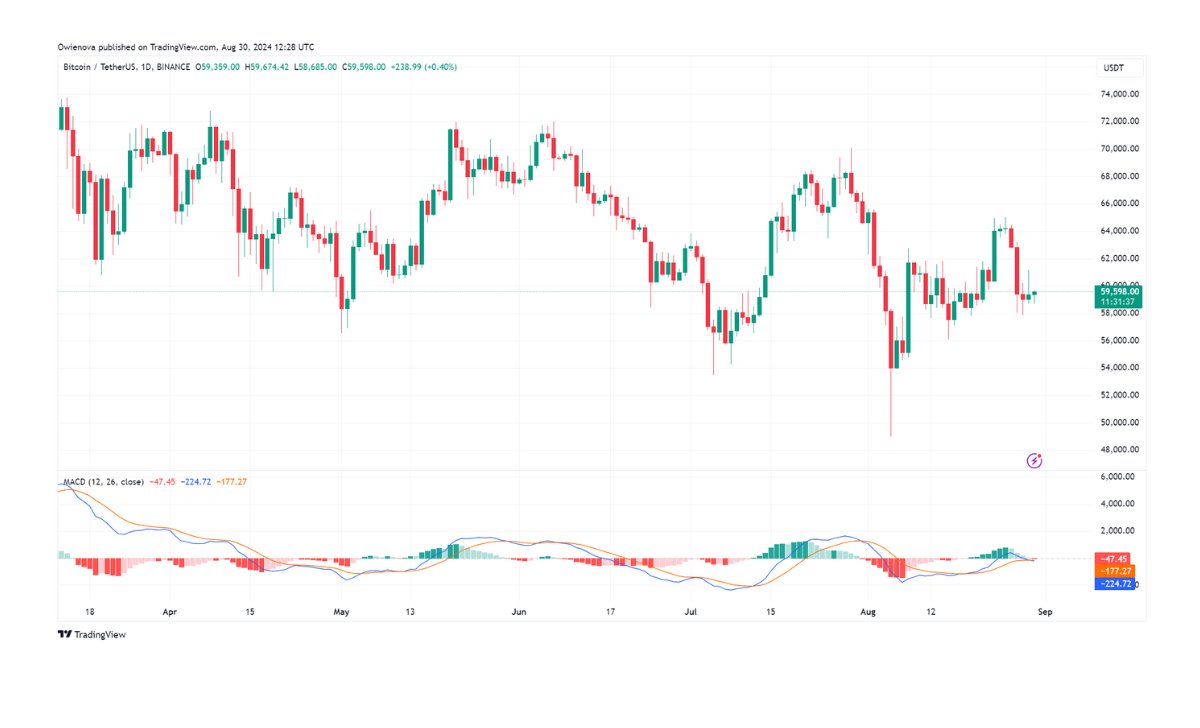 BTC giao dịch ở mức 59.598 đô la trên biểu đồ 1 ngày | Nguồn: BTCUSDT trên Tradingview.com