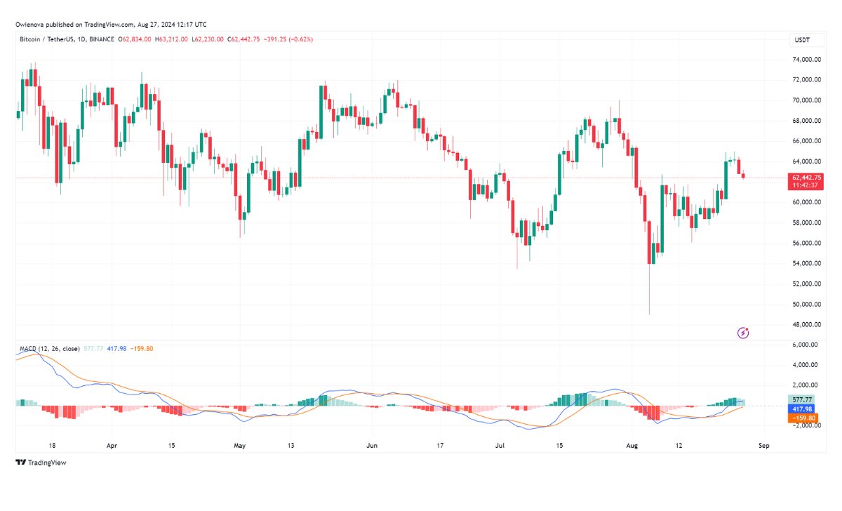 BTC giao dịch ở mức 62.442 đô la trên biểu đồ 1 ngày | Nguồn: BTCUSDT trên Tradingview.com