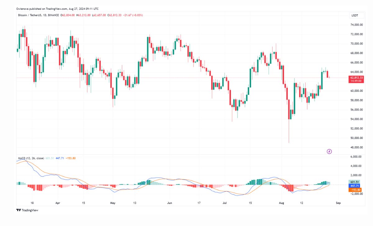 BTC giao dịch ở mức 62.812 đô la trên biểu đồ 1 ngày | Nguồn: BTCUSDT trên Tradingview.com