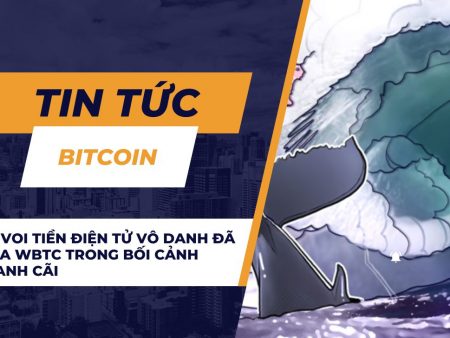 Cá voi tiền điện tử vô danh đã mua WBTC trong bối cảnh tranh cãi