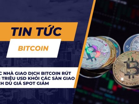 Các nhà giao dịch Bitcoin rút 728 triệu USD khỏi các sàn giao dịch dù giá Spot giảm