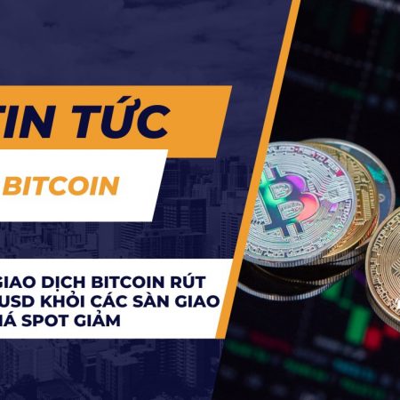 Các nhà giao dịch Bitcoin rút 728 triệu USD khỏi các sàn giao dịch dù giá Spot giảm