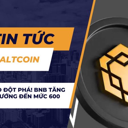 Cảnh báo đột phá! BNB tăng vọt 5%, hướng đến mức 600 đô la