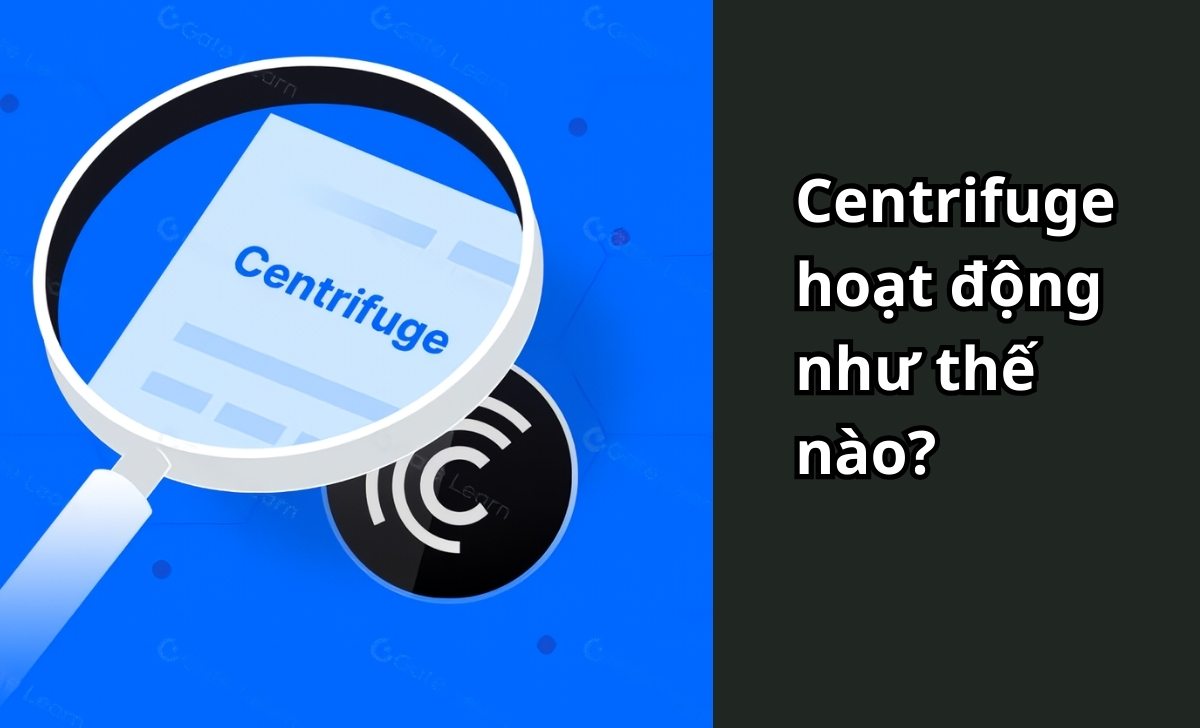 Centrifuge hoạt động như thế nào?