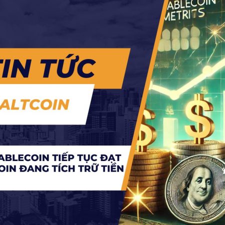 Chỉ số Stablecoin tiếp tục đạt ATH: Bitcoin đang tích trữ tiền dự trữ?