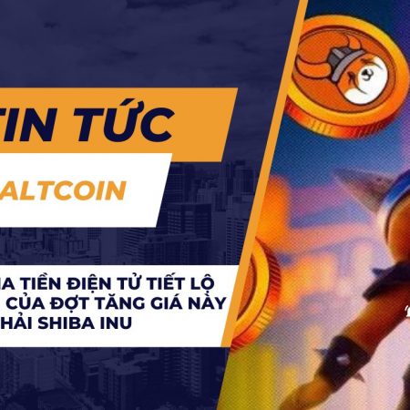 Chuyên gia tiền điện tử tiết lộ Dogecoin của đợt tăng giá này – Không phải Shiba Inu