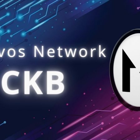 Nervos (CKB) là gì? Đánh giá chi tiết dự án CKB coin