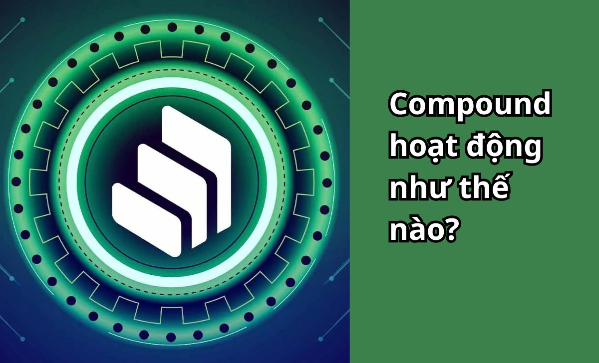 Compound hoạt động như thế nào?