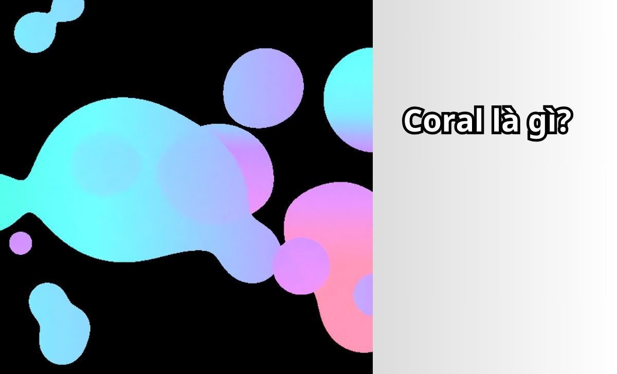 Coral là gì?