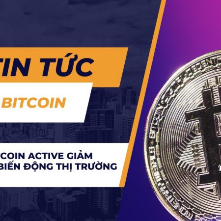 Địa chỉ Bitcoin Active giảm mạnh khi biến động thị trường gia tăng