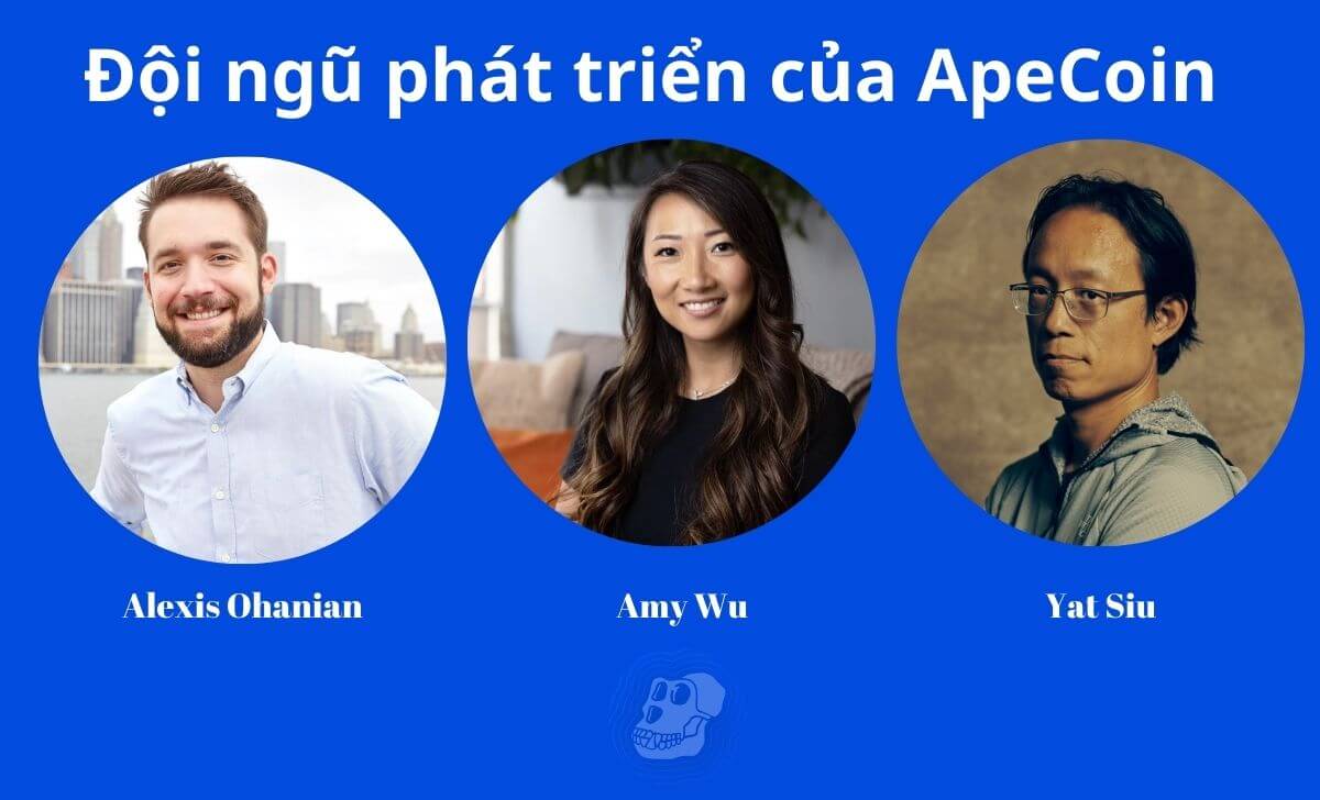 Đội ngũ phát triển dự án ApeCoin