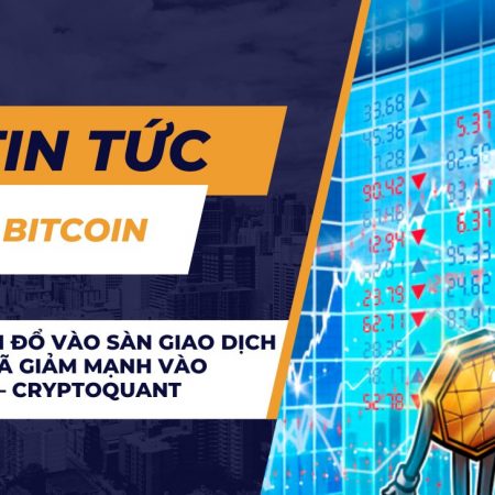 Dòng tiền đổ vào sàn giao dịch Bitcoin đã giảm mạnh vào tháng 8 — CryptoQuant