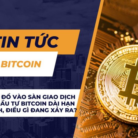 Dòng tiền đổ vào sàn giao dịch của nhà đầu tư Bitcoin dài hạn giảm mạnh, điều gì đang xảy ra?